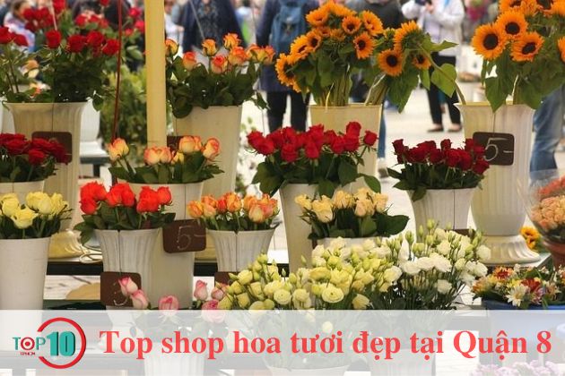 Top 5 shop hoa tươi tại Quận 8, TPHCM rẻ đẹp, giao tận nơi