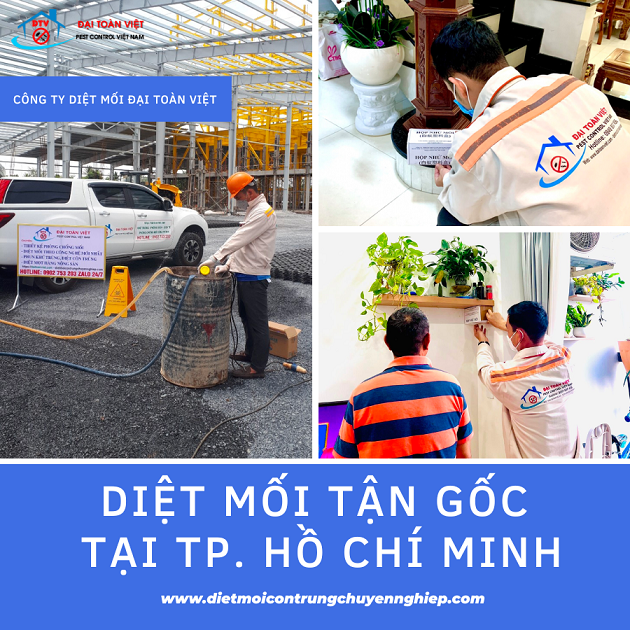 Đại Toàn Việt đang được đem rộng lớn 10 năm tay nghề vô bắt mối bên trên TPHCM