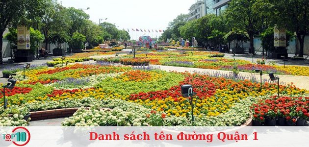 đường hoa Nguyễn Huệ