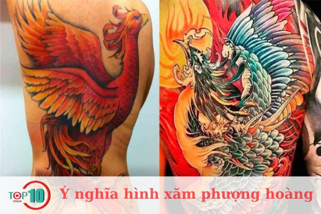 Ý NGHĨA HÌNH XĂM PHƯỢNG HOÀNG  SaiGon Tattoo Club