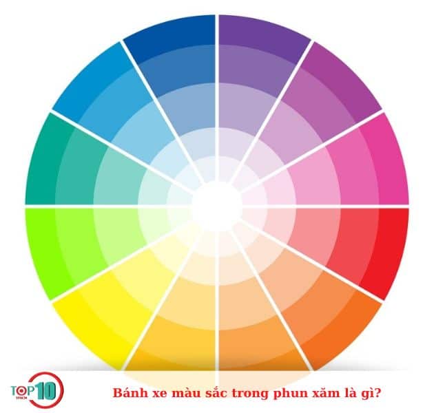 Cấu tạo bánh xe màu sắc trong phun xăm