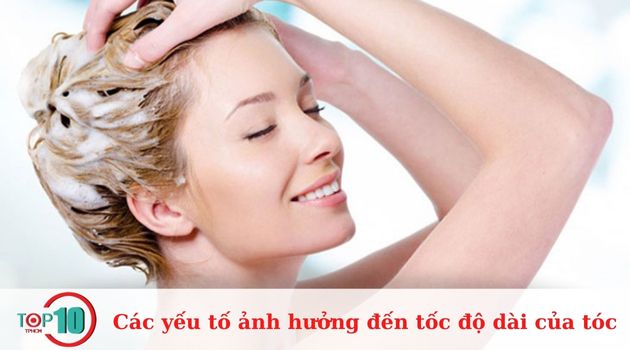 Các sản phẩm chăm sóc tóc