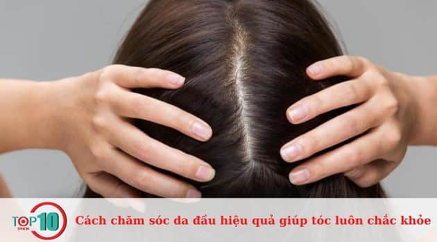 Cách chăm sóc da đầu hiệu quả giúp tóc luôn chắc khỏe