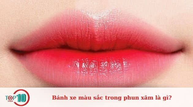 Các nhóm công thức màu phun xăm cơ bản