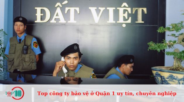 Công ty Bảo vệ Đất Việt