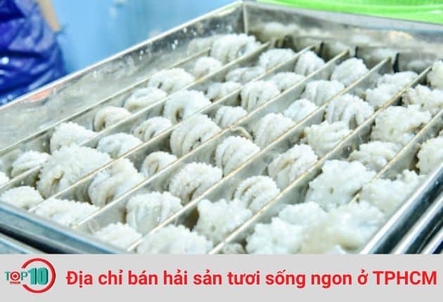 24hSeafood là nơi cung cấp nguồn hải sản tươi ngon hấp dẫn tới từ Bình Thuận