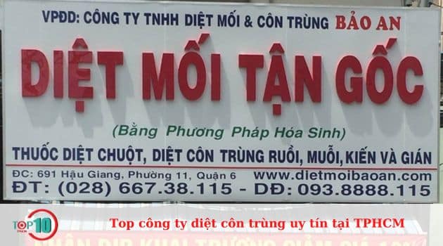 Công Ty xử lý côn trùng tphcm Bảo An