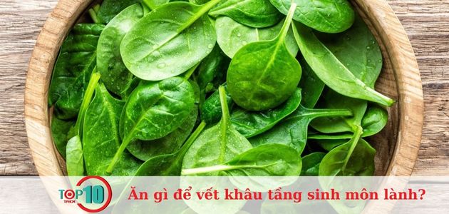 Rau xanh chứa nhiều dưỡng chất tốt cho sức khỏe