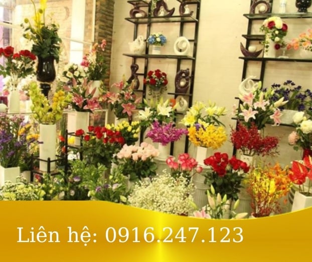 Shop hoa tươi Vina