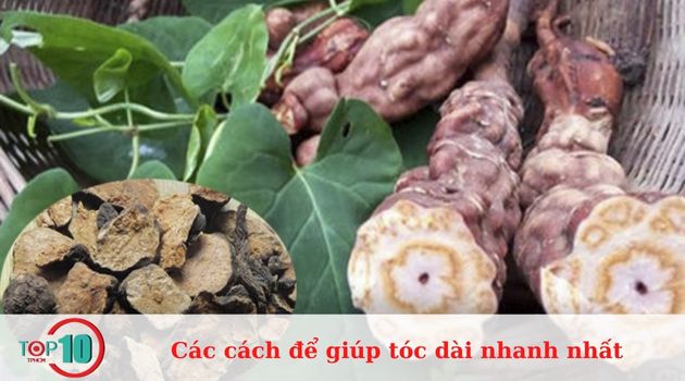 Sử dụng hà thủ ô giúp tóc nhanh dài