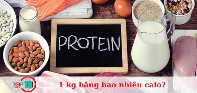 thực phẩm giàu protein