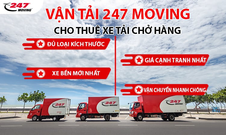 Dịch vụ thuê xe tải của Công Ty Vận Tải 247 với đa dạng các loại xe tải