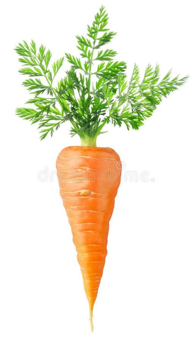 Cập nhật nhiều hơn 109 hình nền cà rốt cute mới nhất  thdonghoadian