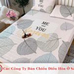 Các Công Ty Bán Chiếu Điều Hòa Ở Sài Gòn