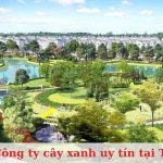Top 10+ Công Ty Cây Xanh Uy Tín Tại TP.HCM