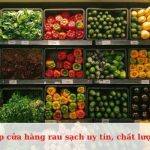 Top cửa hàng rau sạch uy tín, chất lượng ở TPHCM