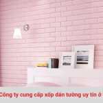 Các công ty cung cấp xốp dán tường đẹp ở TPHCM