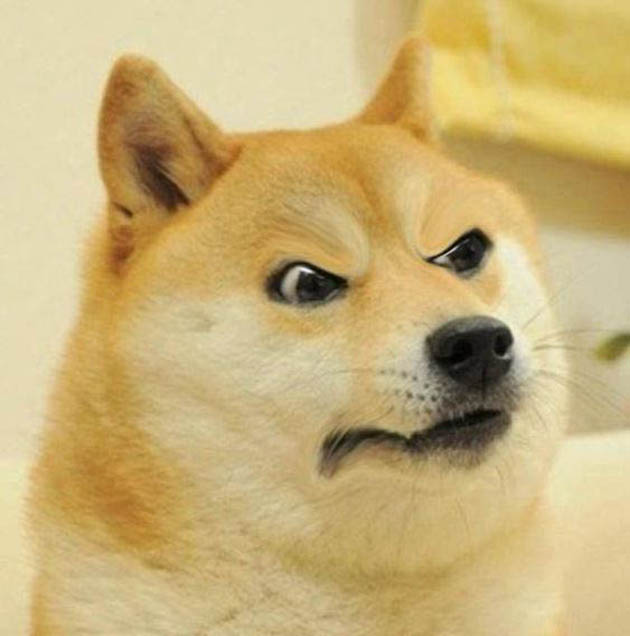 Hình ảnh meme tức giận dễ thương chó Shiba