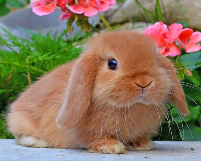 Hình ảnh chú thỏ đáng yêu