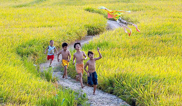 Tổng hợp hình ảnh quê hương Việt Nam đẹp nhất - Top10tphcm
