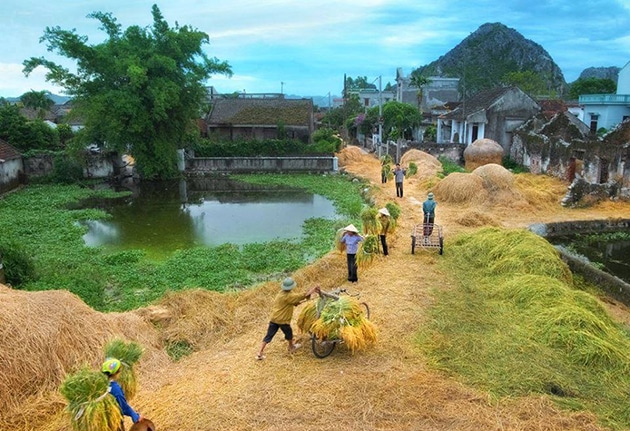 Hình ảnh một ngày thanh bình tại quê hương Việt Nam