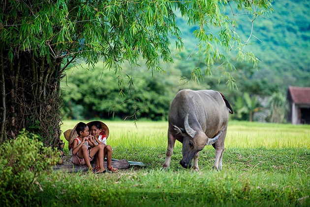 Hình quê hương