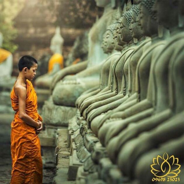 999+ hình ảnh quỳ lạy Phật đẹp nhất
