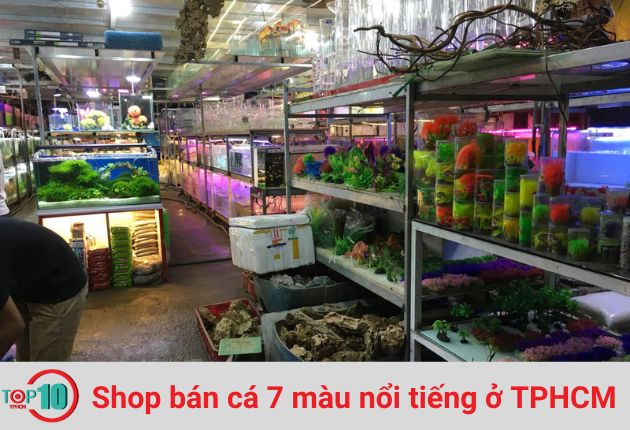 Cửa Hàng Ông Trí Cá Cảnh