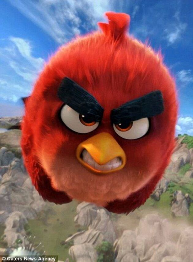 Hình hình ảnh tức giẫn dữ vui nhộn của "Angry Birds"