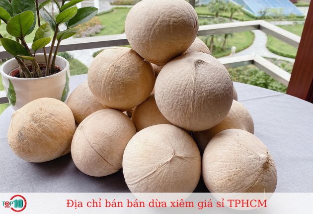 Vựa Dừa Hóc Môn