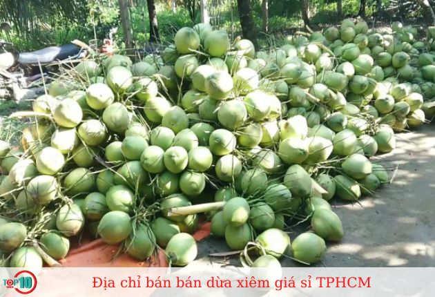 Vựa Dừa Quang Khải