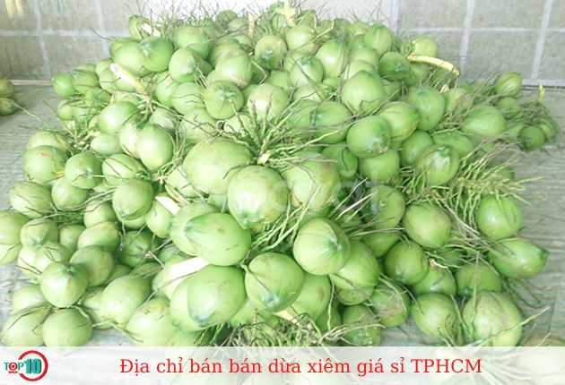 Vựa Dừa Xiêm Giá Sỉ
