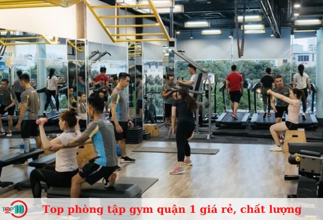 Phòng tập Fit Force Fitness and Yoga