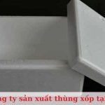 Top 7 công ty sản xuất thùng xốp uy tín, giá rẻ tại TPHCM