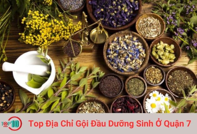 Dịch vụ gội đầu thảo dược dưỡng sinh tại Spa Thảo Mộc | Nguồn: Spa Thảo Mộc