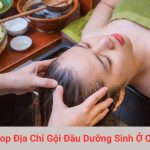 Top Địa Chỉ Gội Đầu Dưỡng Sinh Ở Quận 10