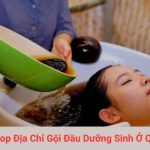 Top Địa Chỉ Gội Đầu Dưỡng Sinh Ở Quận 11