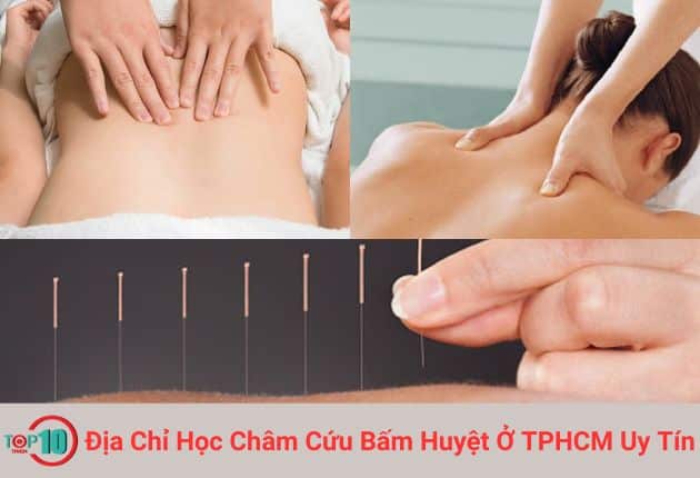 Địa Chỉ Học Châm Cứu Bấm Huyệt Ở TPHCM Uy Tín