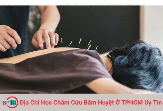 Trường Y Dược Tôn Thất Tùng