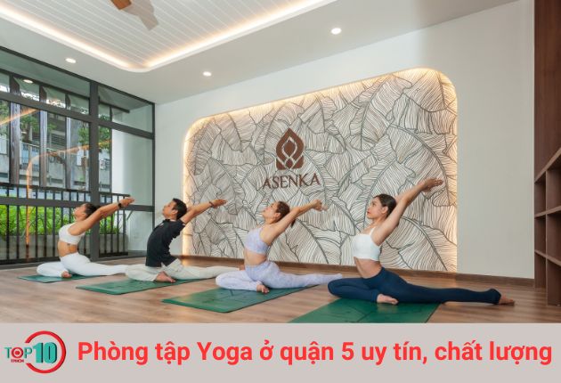 Asenka Yoga Studio là một trung tâm dạy Yoga ở Quận 5