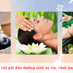 Top địa chỉ gội đầu dưỡng sinh uy tín, chất lượng tại Thủ Đức
