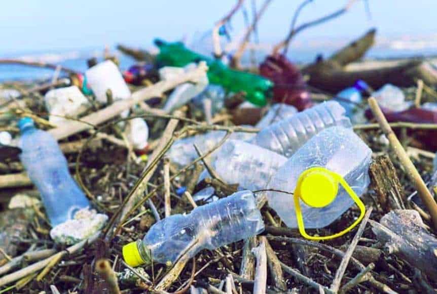 Hình ảnh chai nhựa gây ô nhiễm môi trường