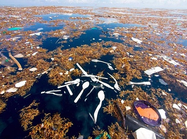 Hình ảnh muỗng nhựa nằm rải rác trên mặt biển