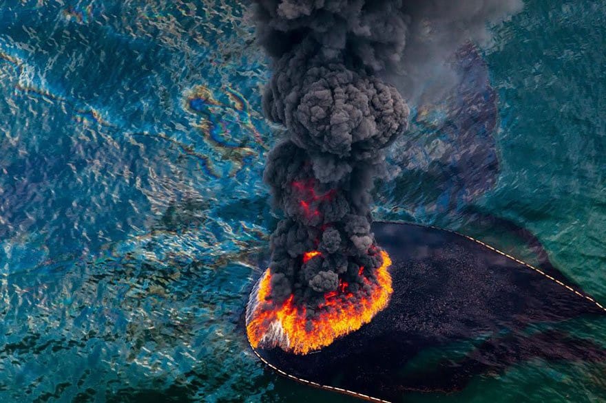 Hình ảnh tràn dầu trên biển gây nguy hiểm cho các sinh vật sống