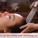 Top địa chỉ gội đầu dưỡng sinh ở Quận 12 uy tín, chất lượng nhất