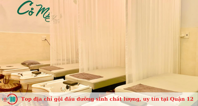 Top địa chỉ gội đầu dưỡng sinh ở Quận 12 uy tín và chất lượng nhất