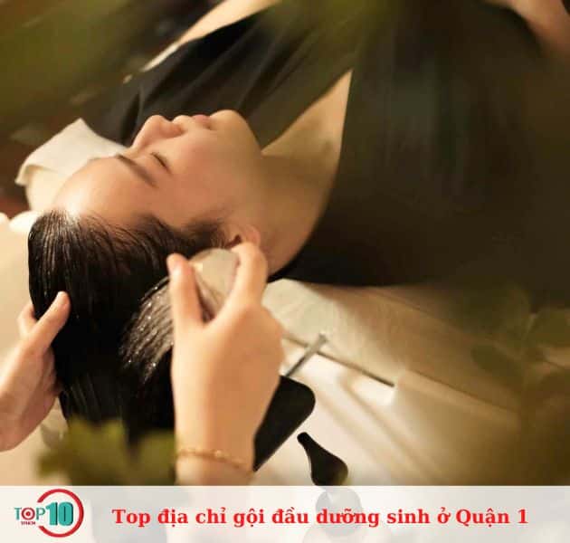 Mộc Lan Spa Wellness