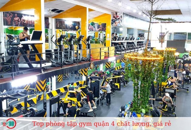 Phòng Gym Cicilia Fitness & Yoga 