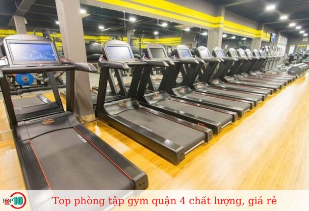 Phòng tập New Fit-fitness & Yoga