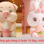 Shop gấu bông ở Quận 10 đẹp, chất lượng